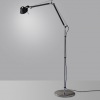 Tolomeo Floor